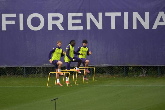 La giornata viola: il riassunto