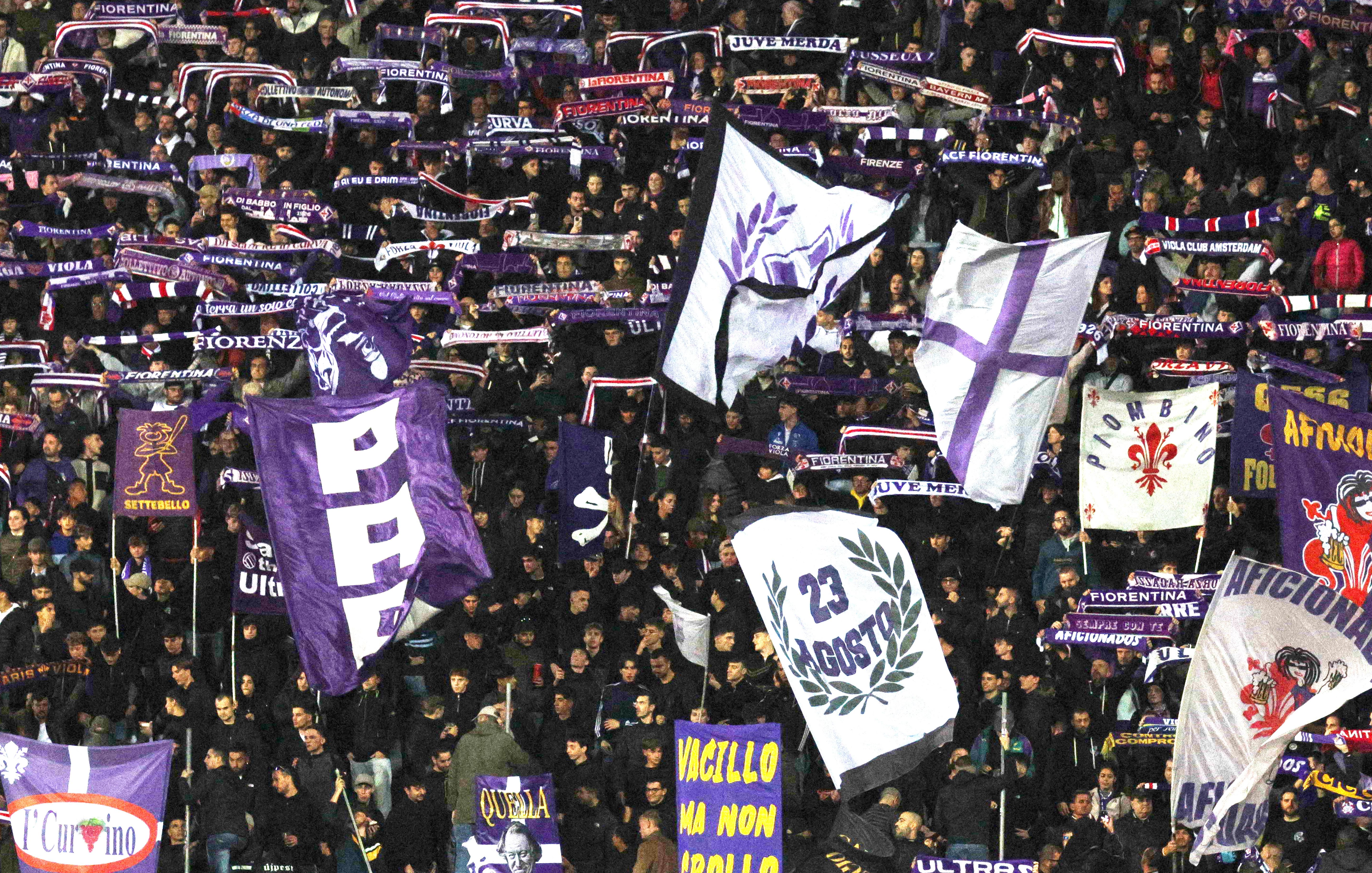 La giornata viola: il riassunto