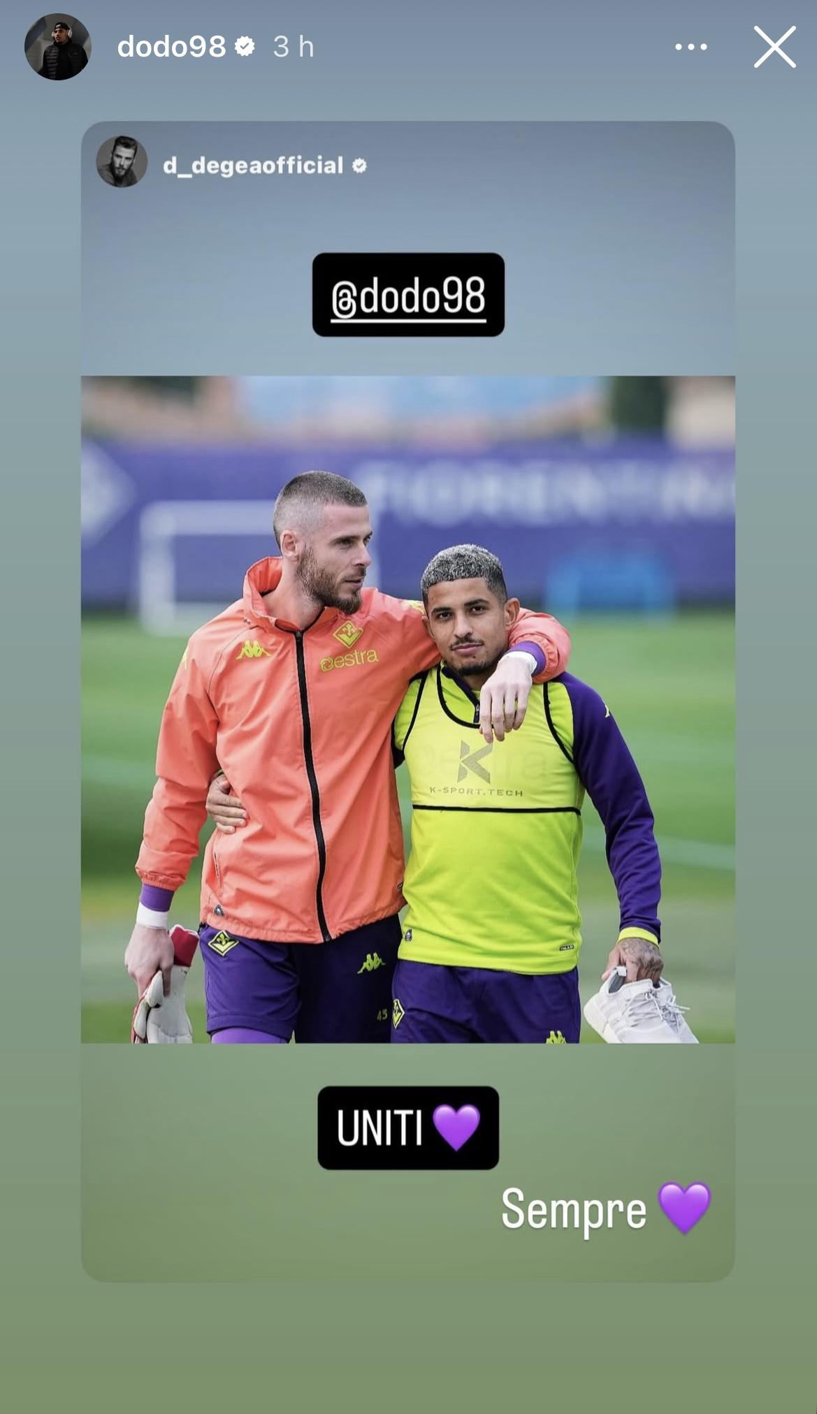 De Gea e Dodo social