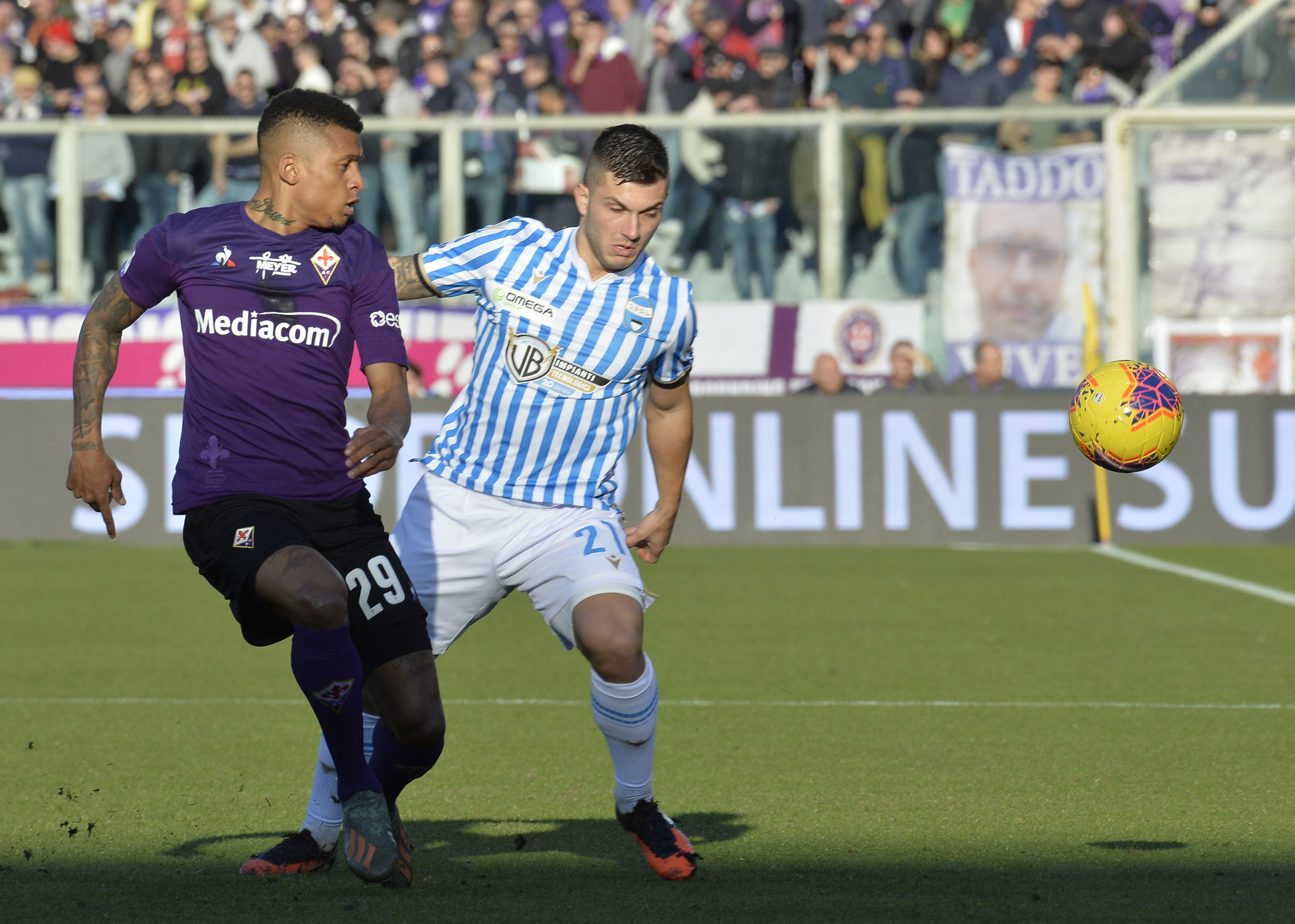 CDS-Stadio – Piace Strefezza. Anche Yeremay Hernardez nel mirino viola