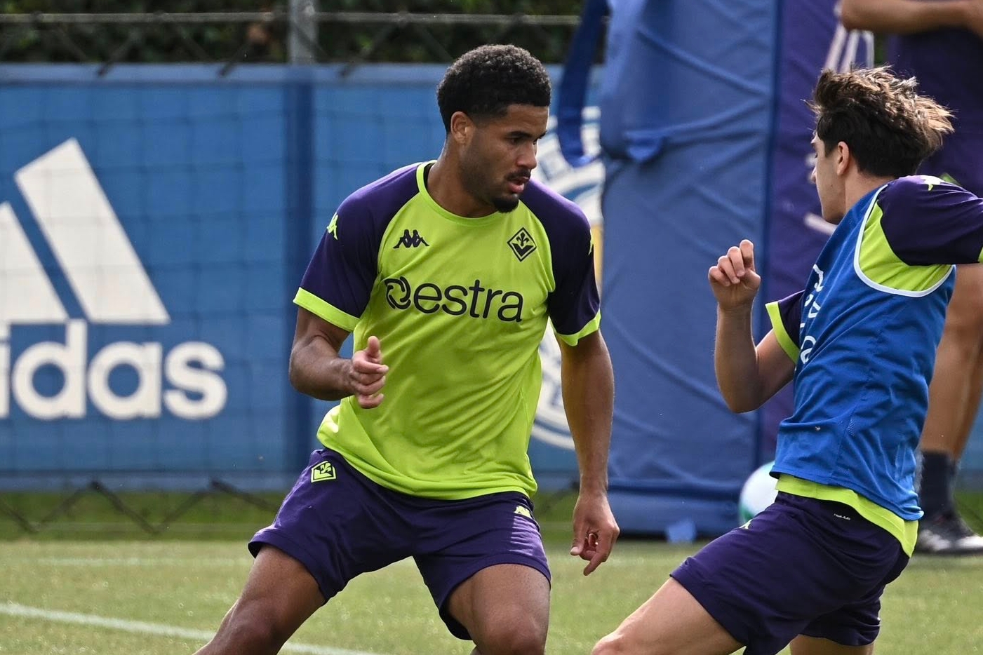 La giornata viola: il riassunto