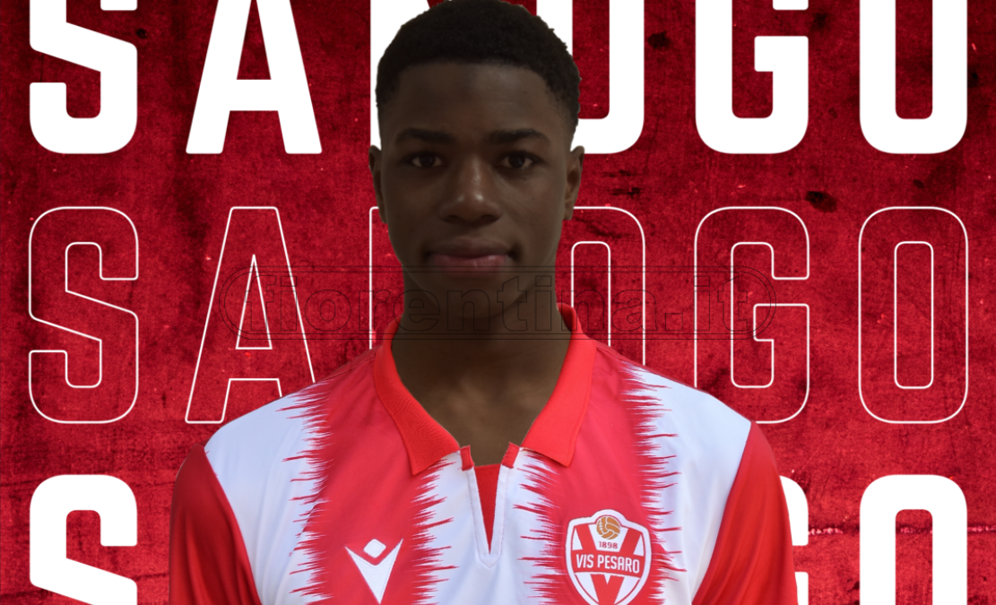 Pedullà: "Fiorentina sulle tracce di Sanogo, esterno che gioca in Serie C"