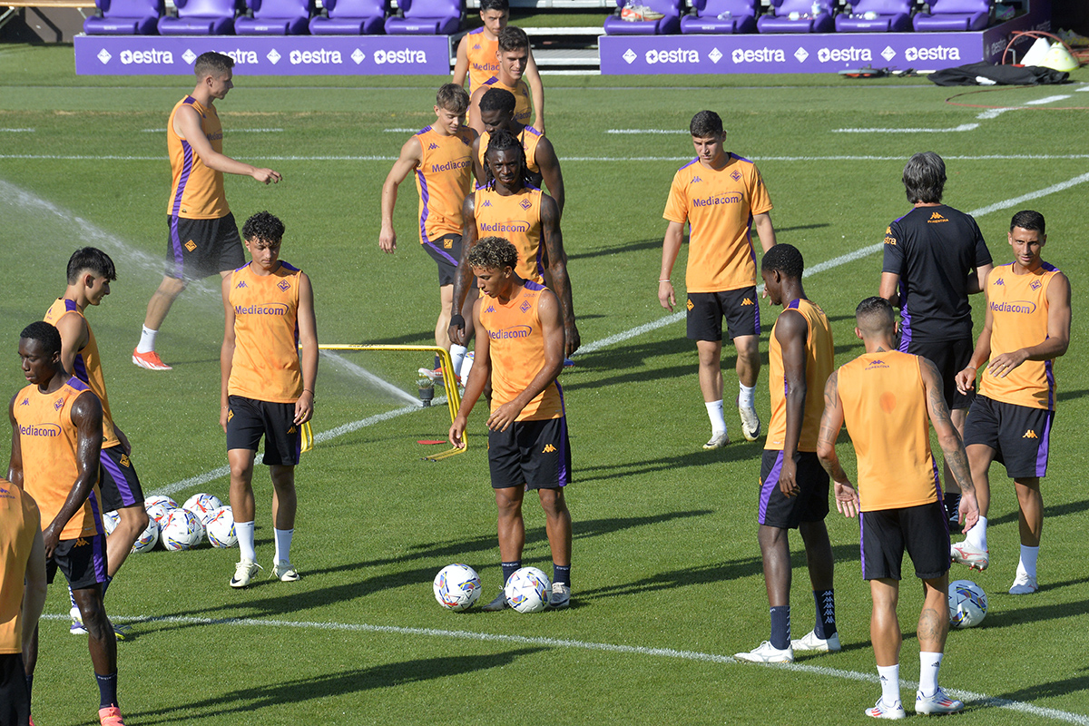 La giornata viola: il riassunto