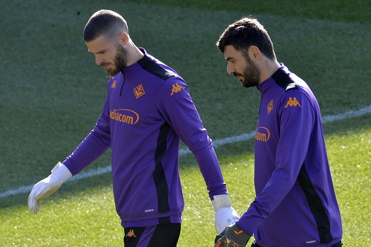 Palladino vuole una Fiorentina "violenta" per superare il Pana. Verso Terracciano troppa ingratitudine