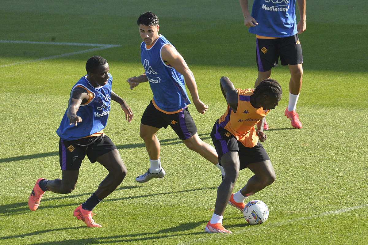 La giornata viola: il riassunto