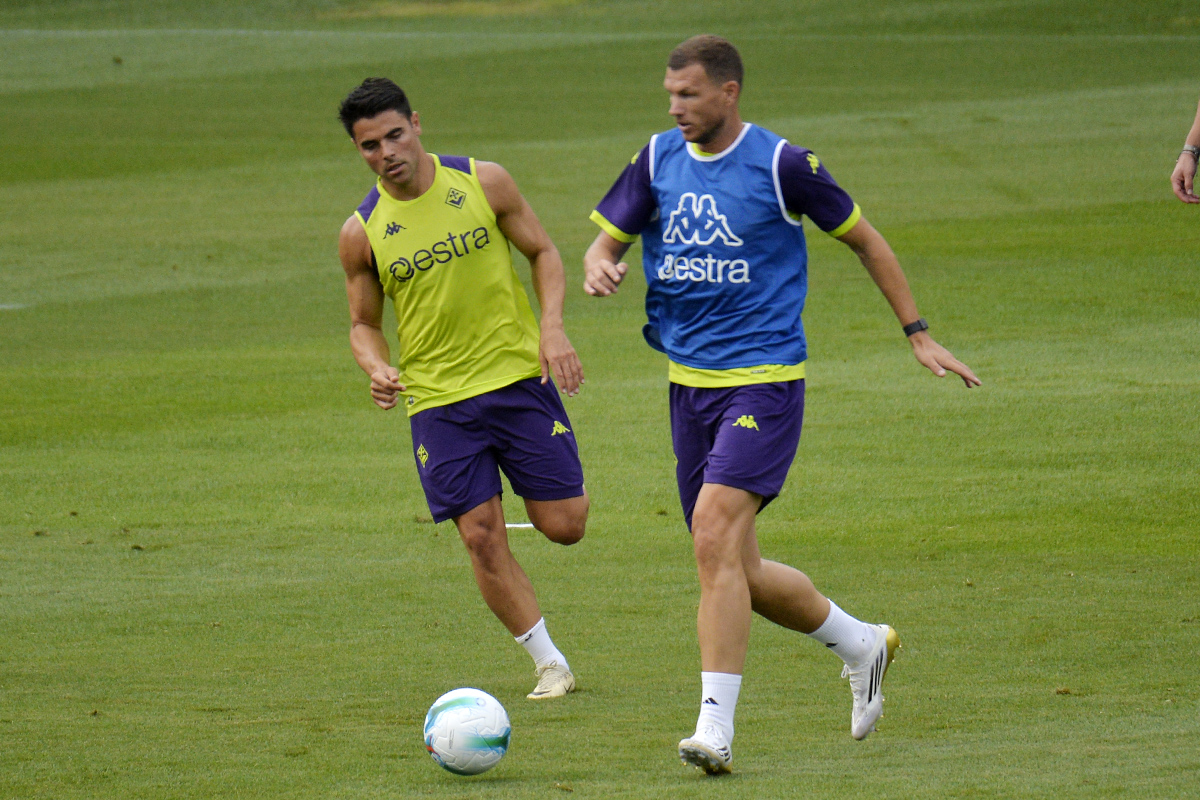 La giornata viola: il riassunto