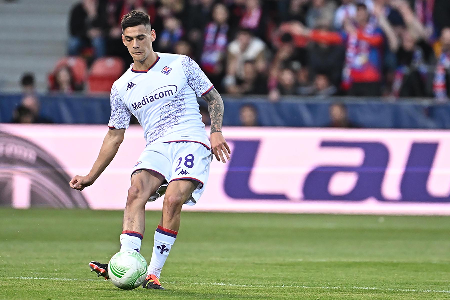 La giornata viola: il riassunto