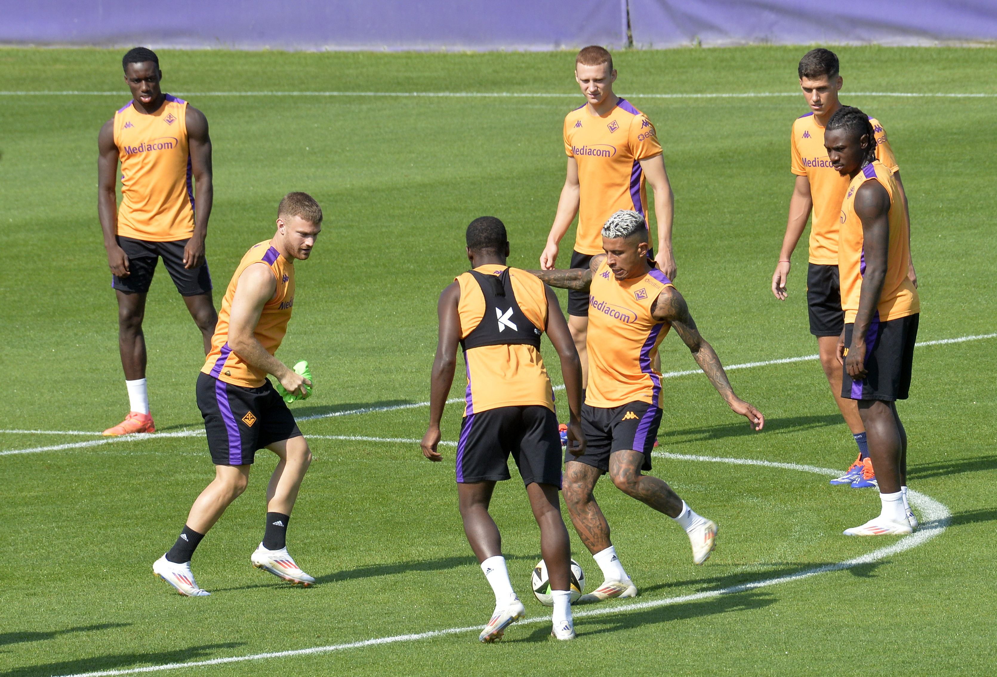 Fiorentina-Monza, i convocati di Palladino: ci sono tutti i nuovi. Non Gudmundsson
