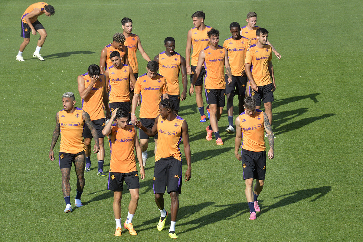 La giornata viola: il riassunto