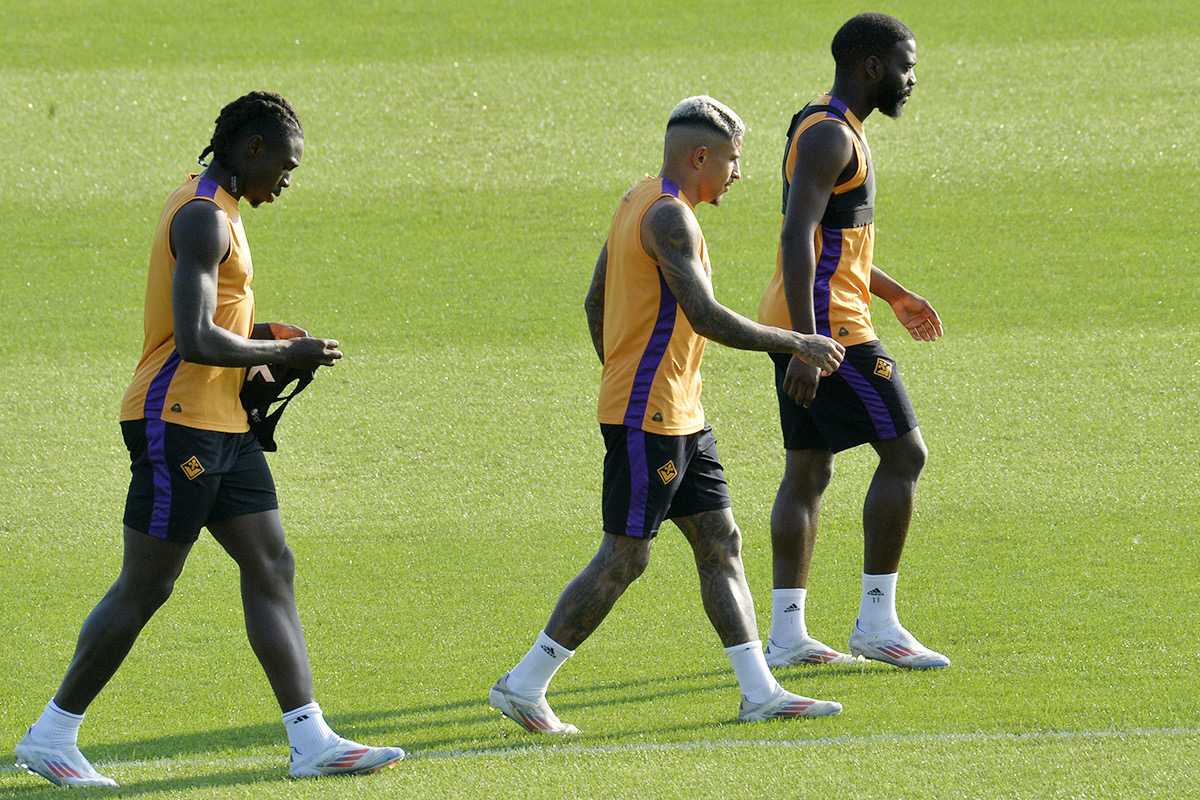 La giornata viola: il riassunto