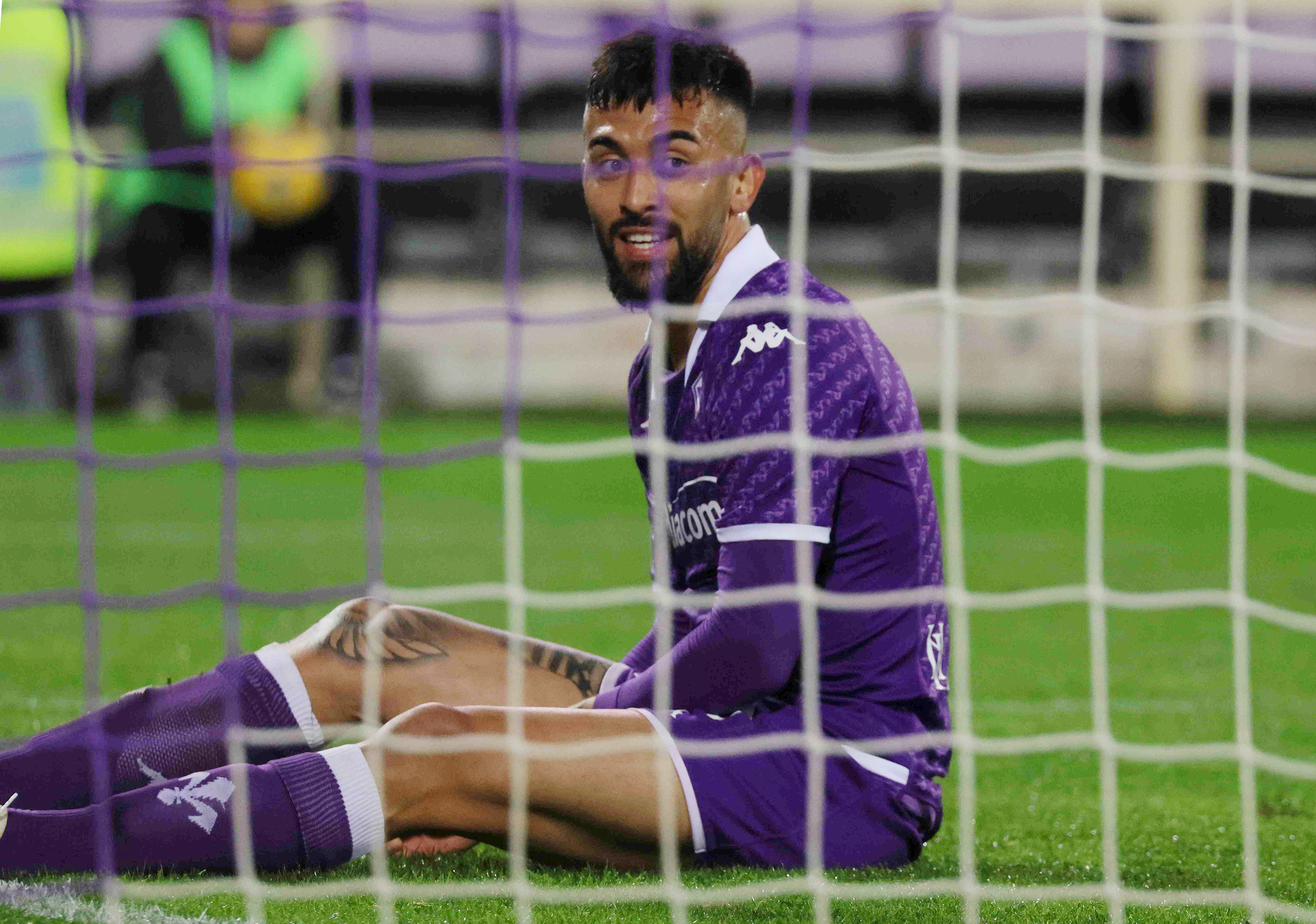 Il Blog dei Tifosi - Viola, qual è quella vera?