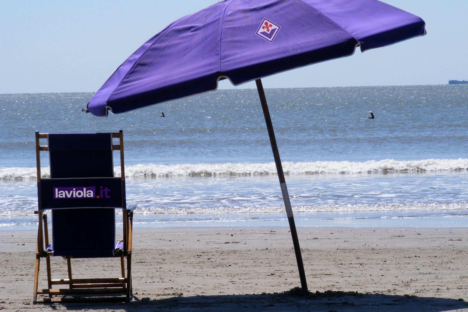 Buon Ferragosto da LaViola.it! Seguite anche oggi con noi le ultime sul mondo Fiorentina!