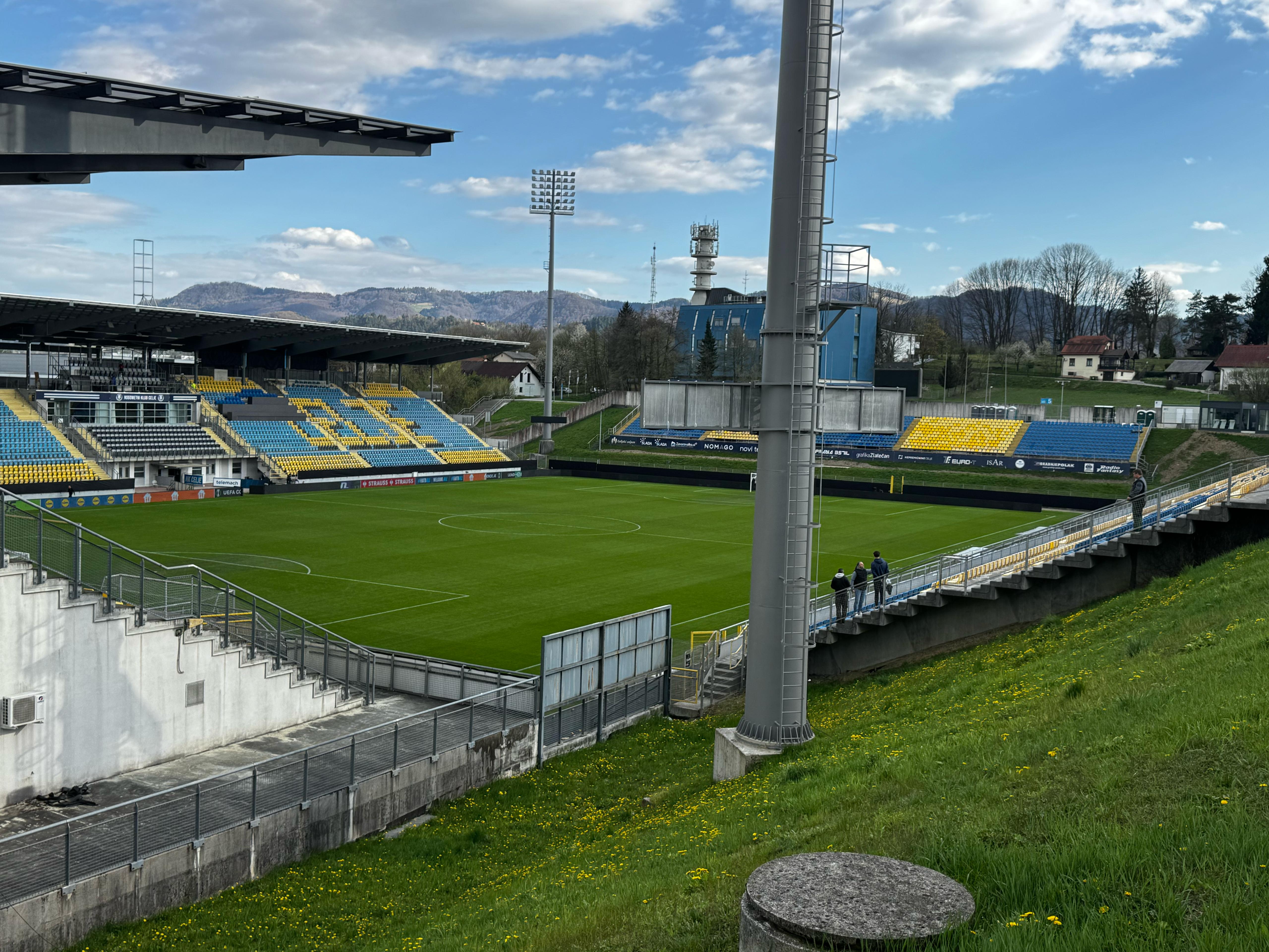 La giornata viola: il riassunto