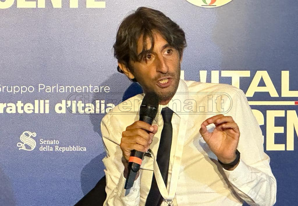 Donzelli sul Franchi: "Stiamo cercando di salvare i 55 milioni per Firenze, ma vogliono complicare la vita ai tifosi"