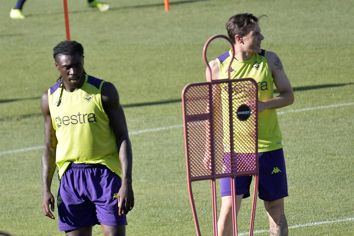 La giornata viola: il riassunto